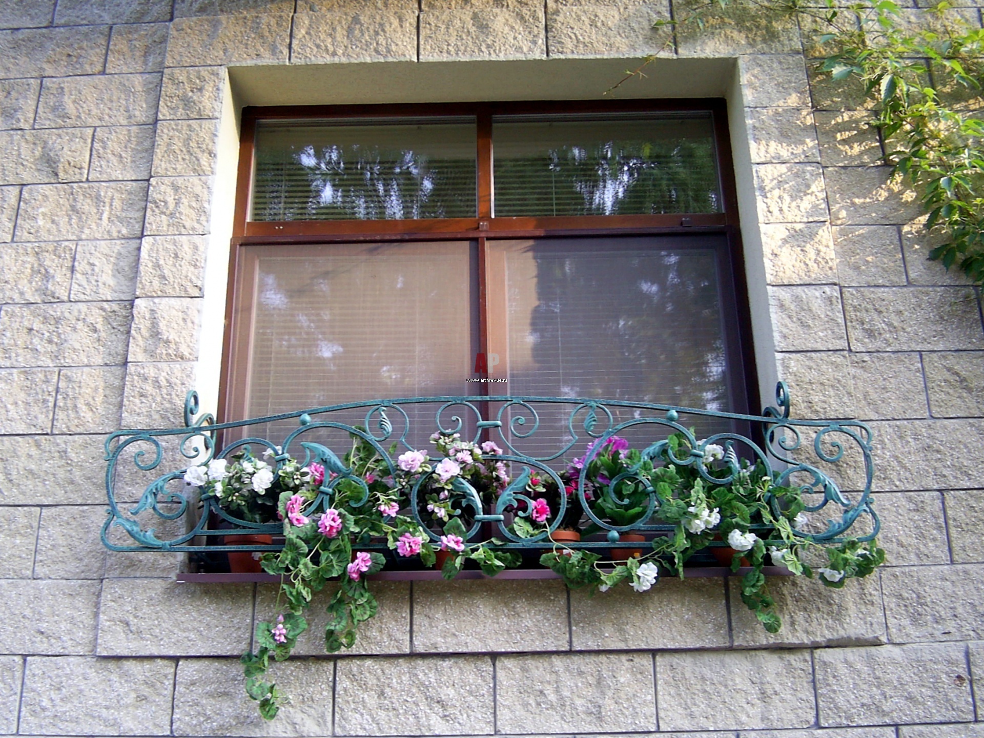 цветы за окном на карнизе за окном