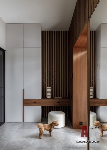 Фото интерьера входной зоны дома в современном стиле