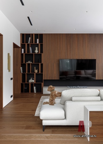 Фото интерьера зоны отдыха дома в современном стиле